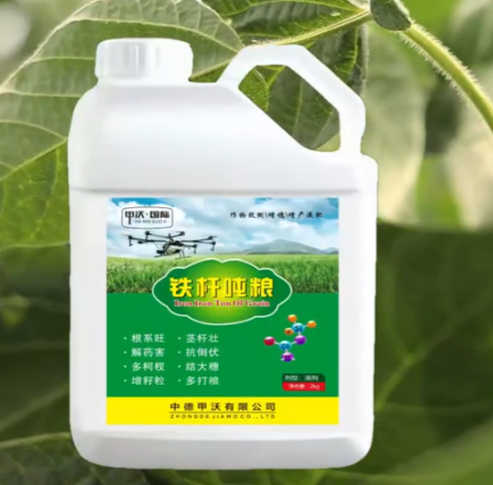 铁杆吨粮