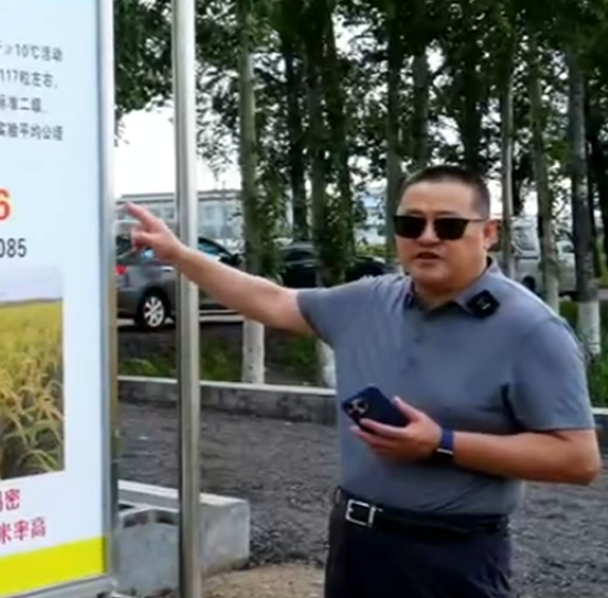 黑龙江莲农种业
