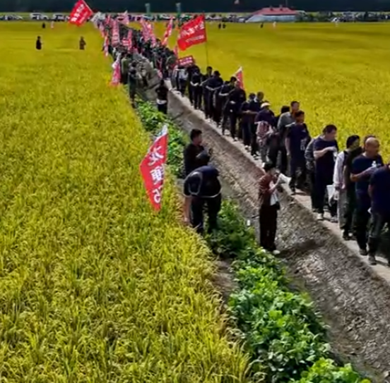 龙粳1823经销商分享现场